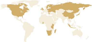 Image of google map
